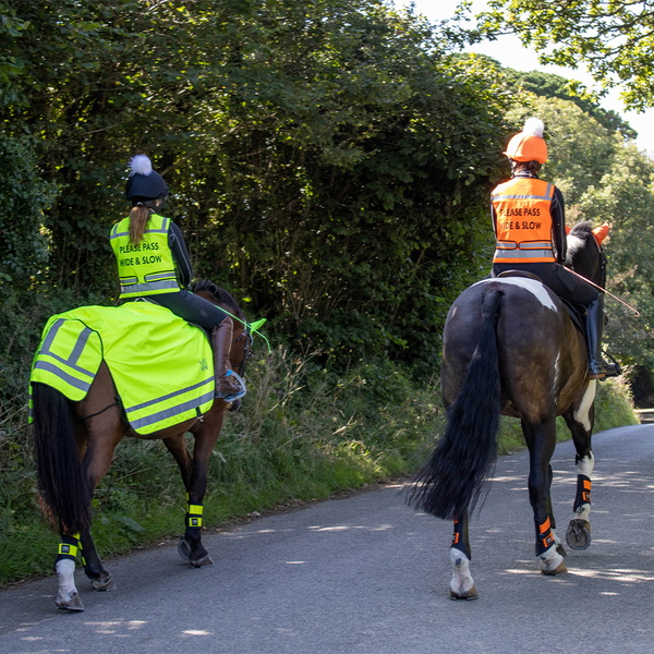 Woof Wear Hoge Zichtbaarheid Rijvest VZ - Hi Viz Orange